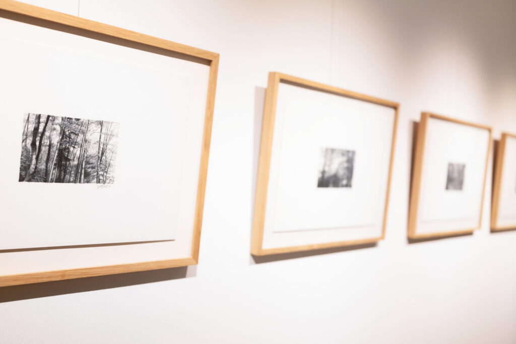 galerie1